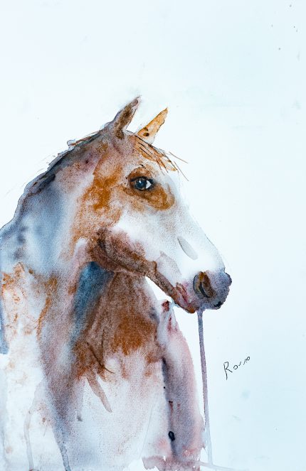 PINTURA ACUARELA CABALLO