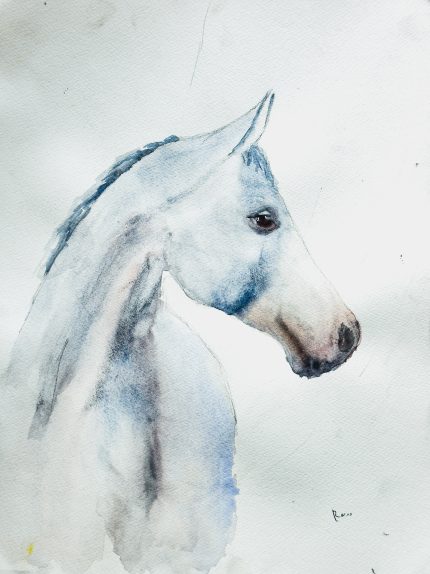 PINTURA ACUARELA CABALLO BLANCO